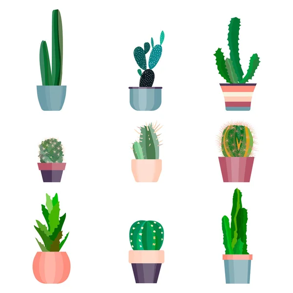 Uppsättning av hög kvalitet hand målade akvarell element för din design med saftiga växter, kaktus och mer. Perfekt projekt, bröllop, gratulationskort, bilder, Bloggar, kransar, mönster — Stock vektor