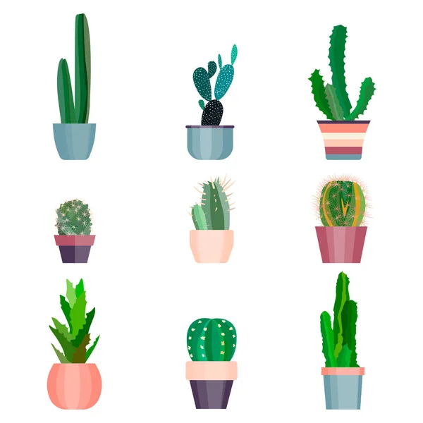 Conjunto de elementos de acuarela pintados a mano de alta calidad para su diseño con plantas suculentas, cactus y más.Proyecto perfecto, boda, tarjeta de felicitación, fotos, blogs, coronas, patrón — Vector de stock