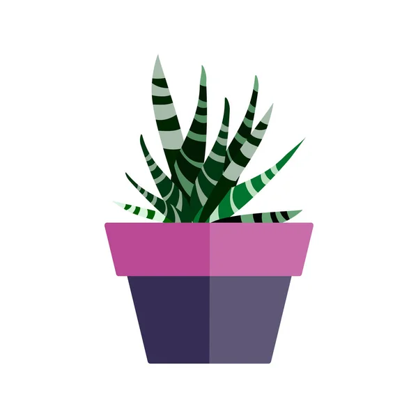 Zöld ház növény a pot. Levél kaktusz lapos. Vektor. — Stock Vector