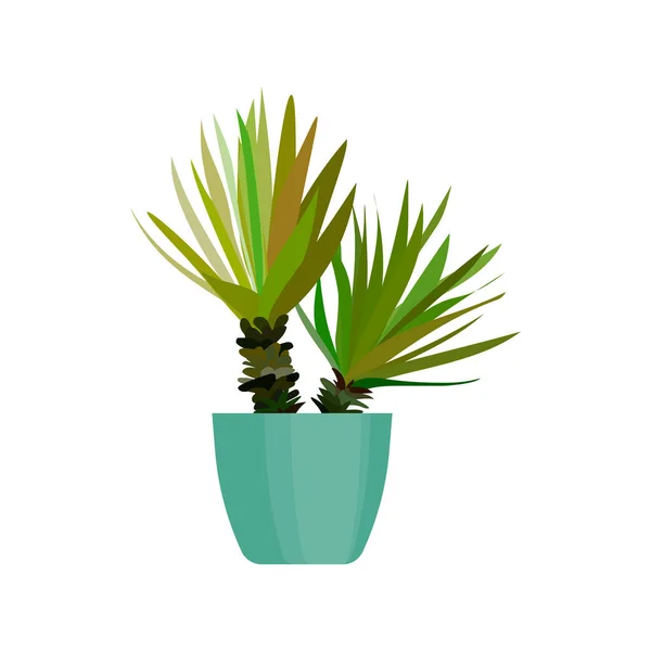 Zöld ház növény a pot. Levél kaktusz lapos. Vektor. — Stock Vector