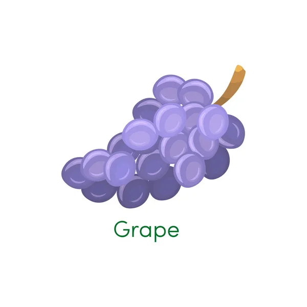 Blue wet isabella wine grapes bunch isolated on white background. Design element for app game or UI website. Grapes fruit in flat style. Vector blue object — Stock Vector