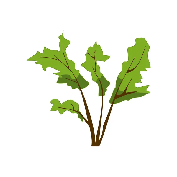 Planta herbal verde isolada em branco. Bush com ramos castanhos, UI jogo app ou ícone de elemento web. Ilustração vetorial —  Vetores de Stock