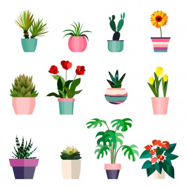 Yeşil karanfiller tencere seti. Yaprak ve çiçekler. Saksı nesneleri, houseplant koleksiyonu illüstrasyon izole