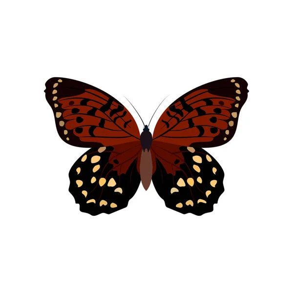 Gran colección de mariposas de colores. Mariposas aisladas en blanco. Vector — Archivo Imágenes Vectoriales