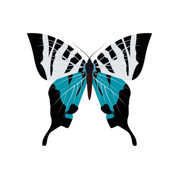 Stor samling av färgglada fjärilar. Fjärilar isolerade på vitt. Vektor — Stock vektor