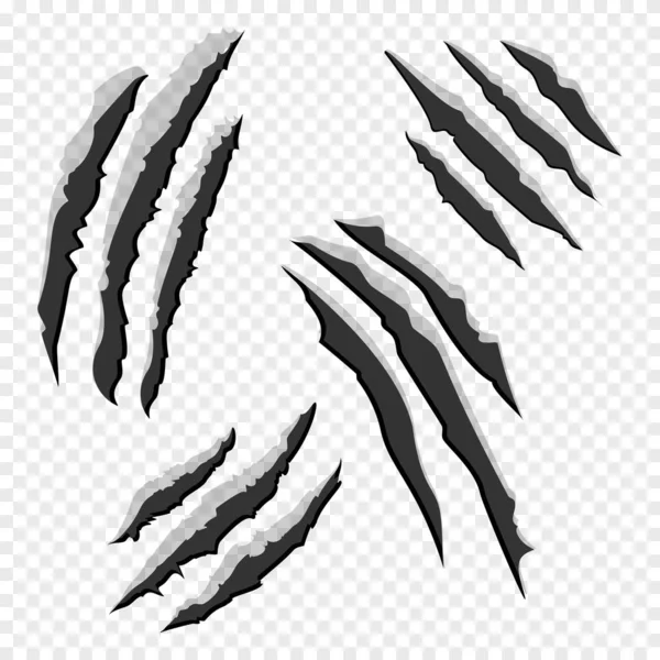 Claws scratches isolated on transparent background. Animal claw scratch like lion, tiger, bear, cat. Vector illustration — Stock Vector