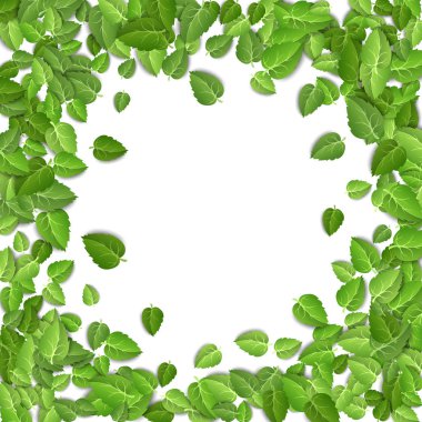 Flying green leaves on white background. Spring leaf pattern on isolated backdrop. Fall fresh leaves plant. Vector illustration closeup