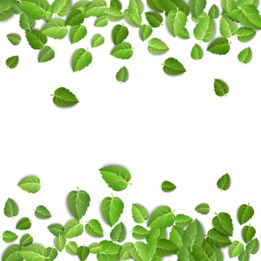 Flying green leaves on white background. Spring leaf pattern on isolated backdrop. Fall fresh leaves plant. Vector illustration closeup