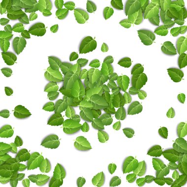 Flying green leaves on white background. Spring leaf pattern on isolated backdrop. Fall fresh leaves plant. Vector illustration closeup