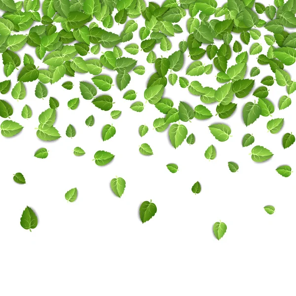 Vliegende groene bladeren op witte achtergrond. Voorjaarspatroon op geïsoleerde achtergrond. Vallen verse bladeren plant. Vector illustratie close-up — Stockvector