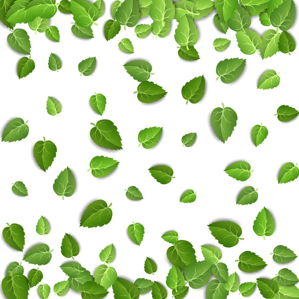 Vliegende groene bladeren op witte achtergrond. Voorjaarspatroon op geïsoleerde achtergrond. Vallen verse bladeren plant. Vector illustratie close-up — Stockvector