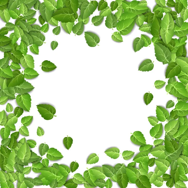 Vliegende groene bladeren op witte achtergrond. Voorjaarspatroon op geïsoleerde achtergrond. Vallen verse bladeren plant. Vector illustratie close-up — Stockvector