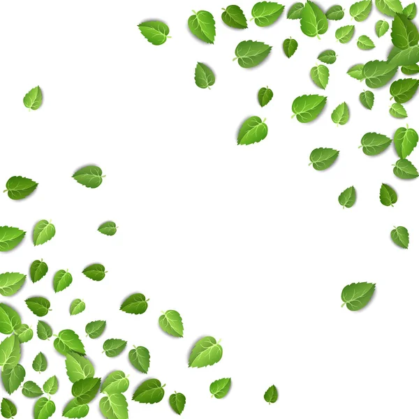 Vliegende groene bladeren op witte achtergrond. Voorjaarspatroon op geïsoleerde achtergrond. Vallen verse bladeren plant. Vector illustratie close-up — Stockvector