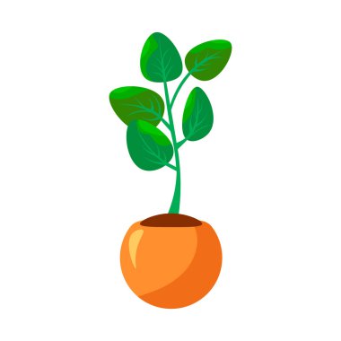 Çizgi film yeşil ev bitkileri seti. Yaprak ve çiçek ikonu. Saksı izole nesneler, saksı saksısı koleksiyonu. Vektör illüstrasyonu