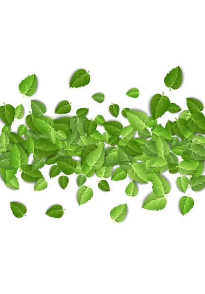 Vliegende groene bladeren op witte achtergrond. Lente blad verticaal patroon op geïsoleerde achtergrond. Vallen verse bladeren plant. Vectorillustratie — Stockvector