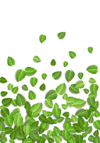 Vliegende groene bladeren op witte achtergrond. Lente blad verticaal patroon op geïsoleerde achtergrond. Vallen verse bladeren plant. Vectorillustratie — Stockvector