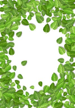 Beyaz arka planda uçan yeşil yapraklar. İzole edilmiş arka planda bahar yaprağı dikey deseni. Taze yaprak bitkisi. Vektör illüstrasyonu