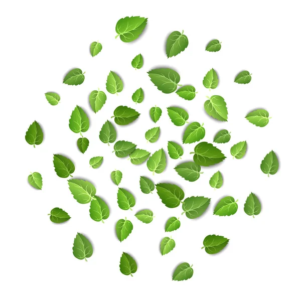 Vliegende groene bladeren op witte achtergrond. Voorjaarspatroon op geïsoleerde achtergrond. Vallen verse bladeren plant. Vectorillustratie — Stockvector