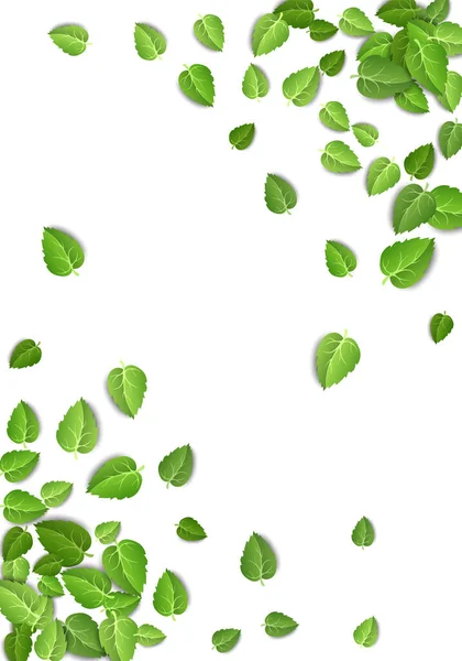 Летят зеленые листья на белом фоне. Весенний листовой вертикальный рисунок на изолированном обратном отрезке. Осень свежие листья растения. Векторная иллюстрация — стоковый вектор