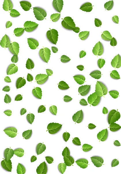 Las hojas verdes volantes sobre fondo blanco. Modelo vertical de hoja de primavera sobre fondo aislado. Planta de hojas frescas de caída. Ilustración de vectores — Vector de stock