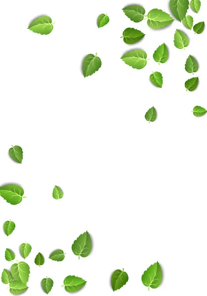 Vliegende groene bladeren op witte achtergrond. Lente blad verticaal patroon op geïsoleerde achtergrond. Vallen verse bladeren plant. Vectorillustratie — Stockvector