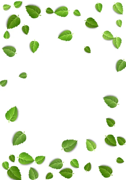 Vliegende groene bladeren op witte achtergrond. Lente blad verticaal patroon op geïsoleerde achtergrond. Vallen verse bladeren plant. Vectorillustratie — Stockvector