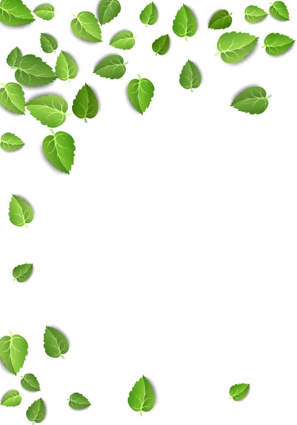 Fliegende grüne Blätter auf weißem Hintergrund. Frühlingsblatt vertikales Muster auf isoliertem Hintergrund. Herbst frische Blätter pflanzen. Vektorillustration — Stockvektor