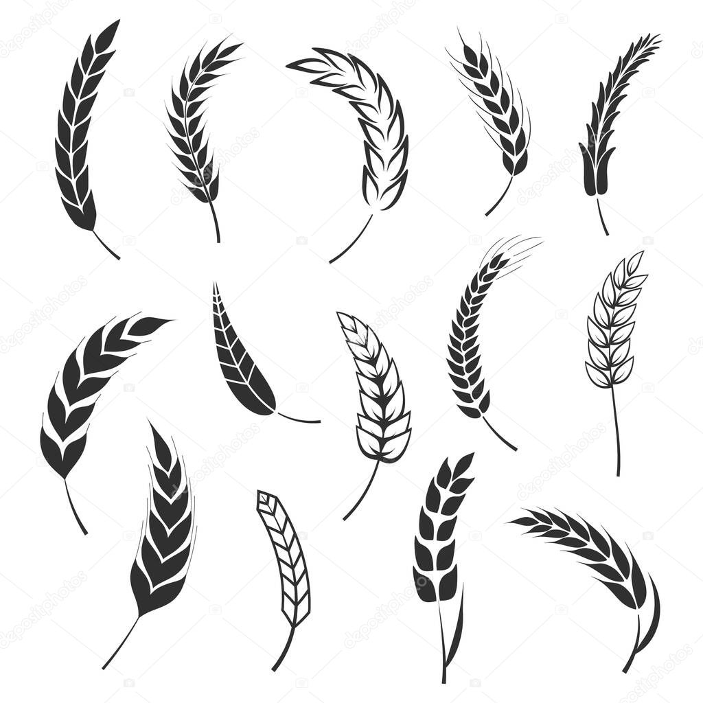 Set of simple wheats ears icons and wheat logo design elements for beer, organic fresh food corn farm, bakery themed agriculture design, grain element, wheat simple pattern. Vector illustration