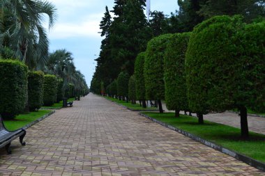 Bulutlu bir günde Batumi Parkı 'nda bir sokak. Georgia.