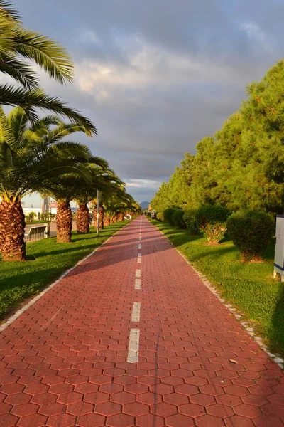 Rıhtımda koşu bandı. Batum. Georgia