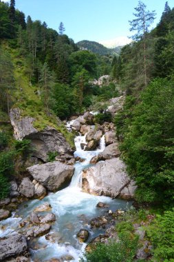 Abhazya 'nın pitoresk dağlarındaki nehir