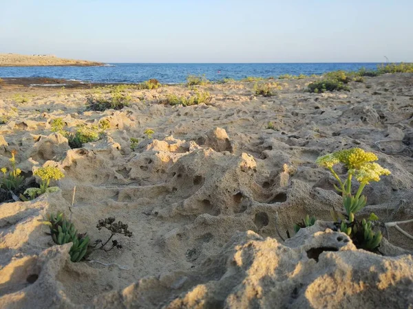 Pietre Affilate Della Costa Del Mare Cipro — Foto Stock