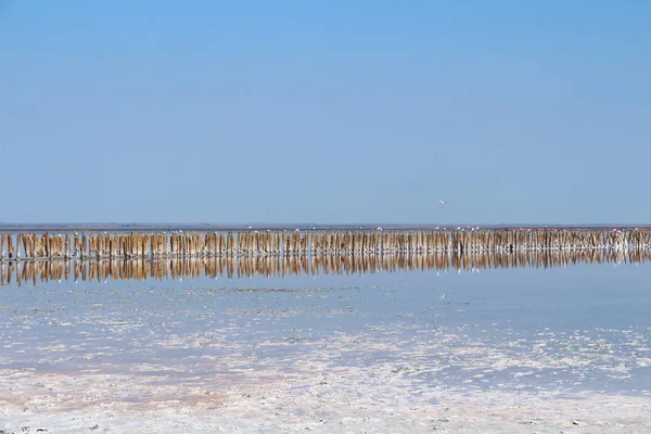 Lago Salato Sera — Foto Stock