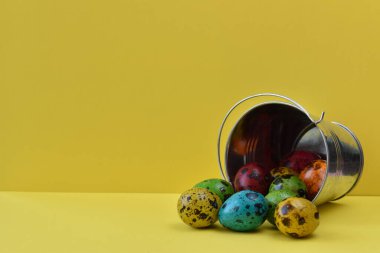 Kovadaki benekli bıldırcın yumurtaları. Sarı arkaplan.