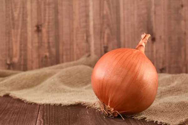 One head of onion on a wooden background. Orange onion head. — Stock Image One Head Onion Wooden Background Orange Onion Head Royalty Free Stock Photos