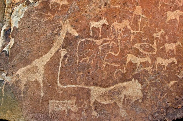 Petroglifos bosquimanos, Twyfelfontein sitio de arte rupestre en Damaraland . — Foto de Stock