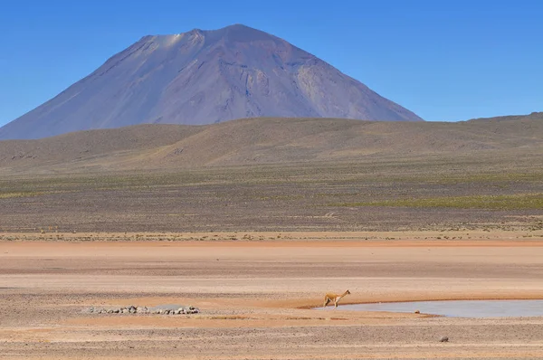 Перу, El Misti Volcano, Salinas и Aguada Blanca . — стоковое фото