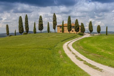 Pienza, Orcia Vadisi, İtalya yakınlarındaki selvi ağaçlı çiftlik evi..
