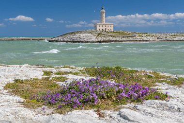 Vieste Deniz Feneri de Isola Santa Eufemia, Apulia, İtalya.