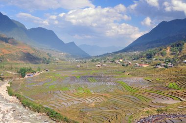 Vietnam, Sapa, Sapa Vietnam 'ın Pirinç Terasları.