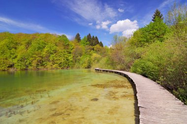 Hırvatistan, Plitvicka Jezera, Plitvice Gölleri Ulusal Parkı, Plitvice Gölleri Ulusal Parkı.