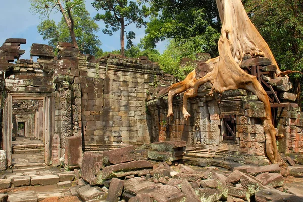 Cambodja, Siem Reap, Angkor, Preah Khan, Hindoe Boeddhistische tempel. — Stockfoto