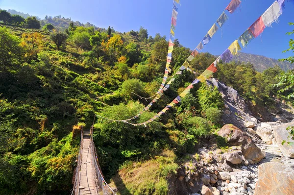 Nepal, Annapurna Conservation Area, Trek to Annapurna Base Camp in Nepal Himalaya. — Stock Photo, Image