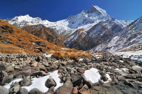 ネパール、アナプルナ保全地域、ネパールのアナプルナ基地キャンプへのトレッキング｜Himalaya. — ストック写真