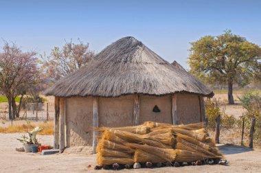 Botswana 'da tipik sazdan yapılmış Afrika yuvarlak kulübesi..