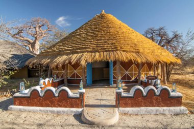 Gezegen Baobab Botswana, Afrika geleneksel kulübe konaklama.