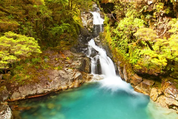 Cachoeira no rio Cleddau, perto da rodovia Milford, no Parque Nacional de Fiordland, Nova Zelândia . — Fotografia de Stock