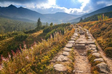 Gasienicowa Vadisi, Yüksek Tatras, Polonya.