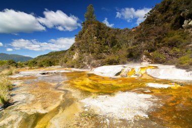 Waimangu Volkanik Termal Vadisi, Rotorua, Yeni Zelanda 'da mermer teras ve payandalar..