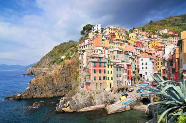 The colorful houses of the fishing port of Riomaggiore, Cinque Terre National Park, Liguria, Italy. clipart